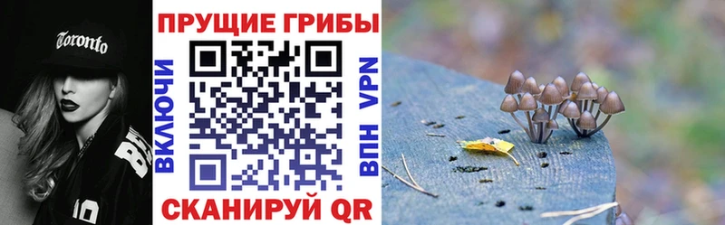 Псилоцибиновые грибы Magic Shrooms  Мглин 